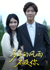 多年的风雨不及你